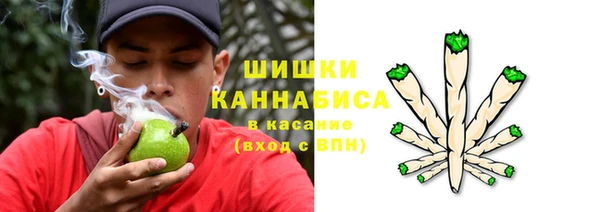 дмт Богородск