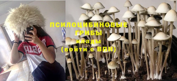 PSILOCYBIN Богданович