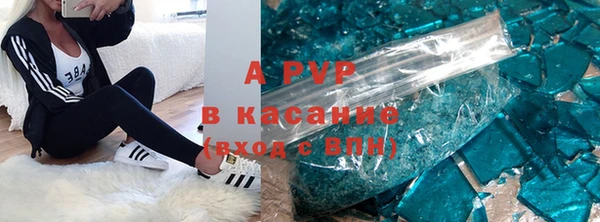 PSILOCYBIN Богородицк