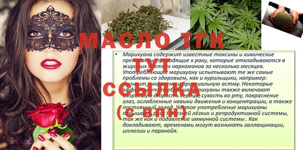 дмт Богородск