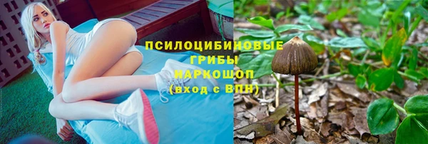 марки nbome Белокуриха
