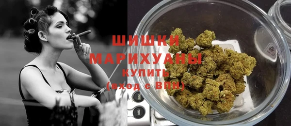 PSILOCYBIN Богданович